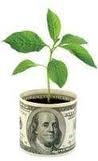 money_planter