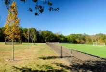 Peretz Park at Bridebrook - Softball Field trees