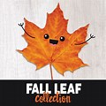 Fall Leaf Collection